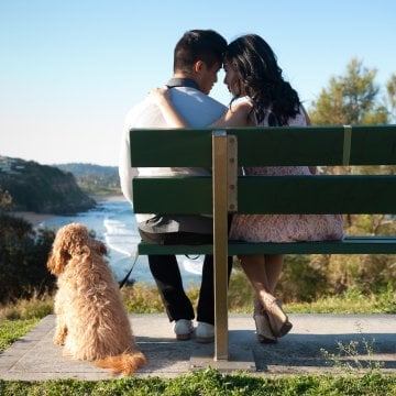 Trending News: Finally - A Dating App For Dog Lovers