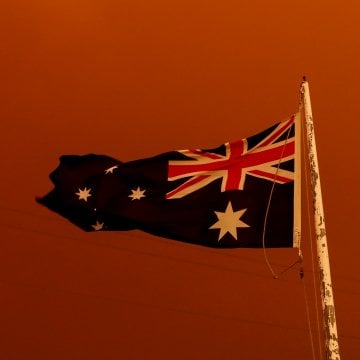 Here\'s How You Can Help Australia as Fires Continue to Destroy Wildlife