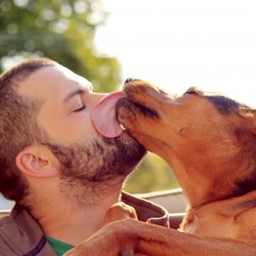 Why Your Beard Is Germier Than Your Dog