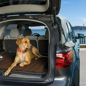 Pick The Perfect Bed For Your Dog With This Handy Guide