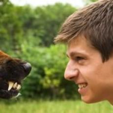 How To: Defend Yourself Against A Dog