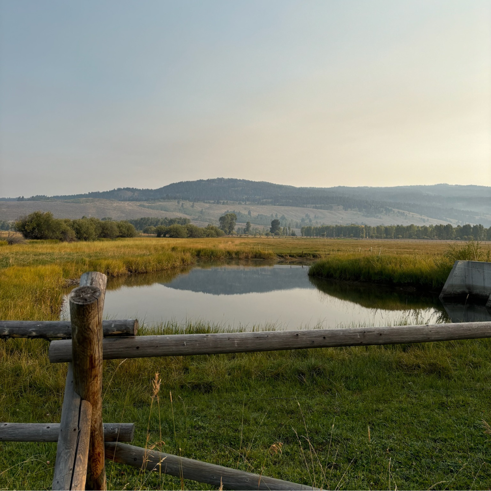 It Turns Out That Immersing Yourself in Nature Is Good for the Soul